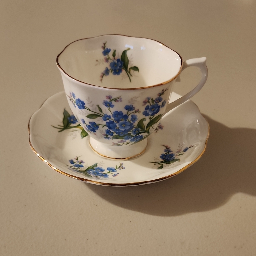 Royal Albert Bone China Forget-Me-Not Floral Teacup & Saucer Set